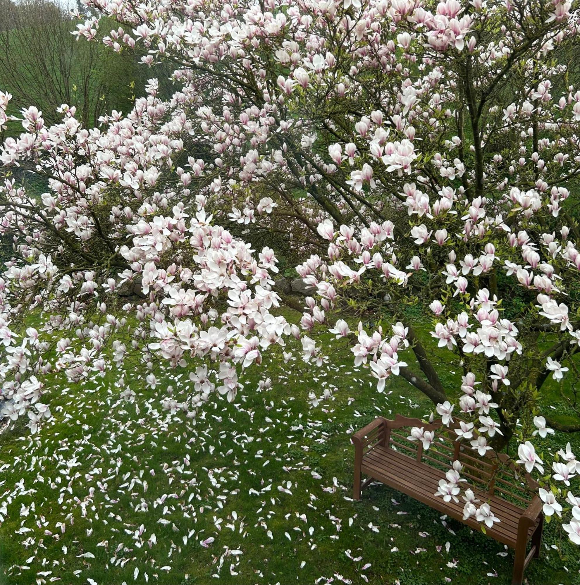 Ferien Und Freizeithof Engelau - Zi 6 Appartement Giekau Buitenkant foto
